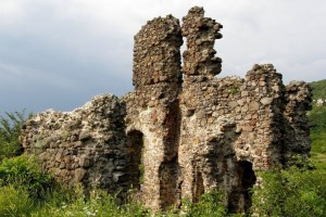 Замок Канків, Виноградів